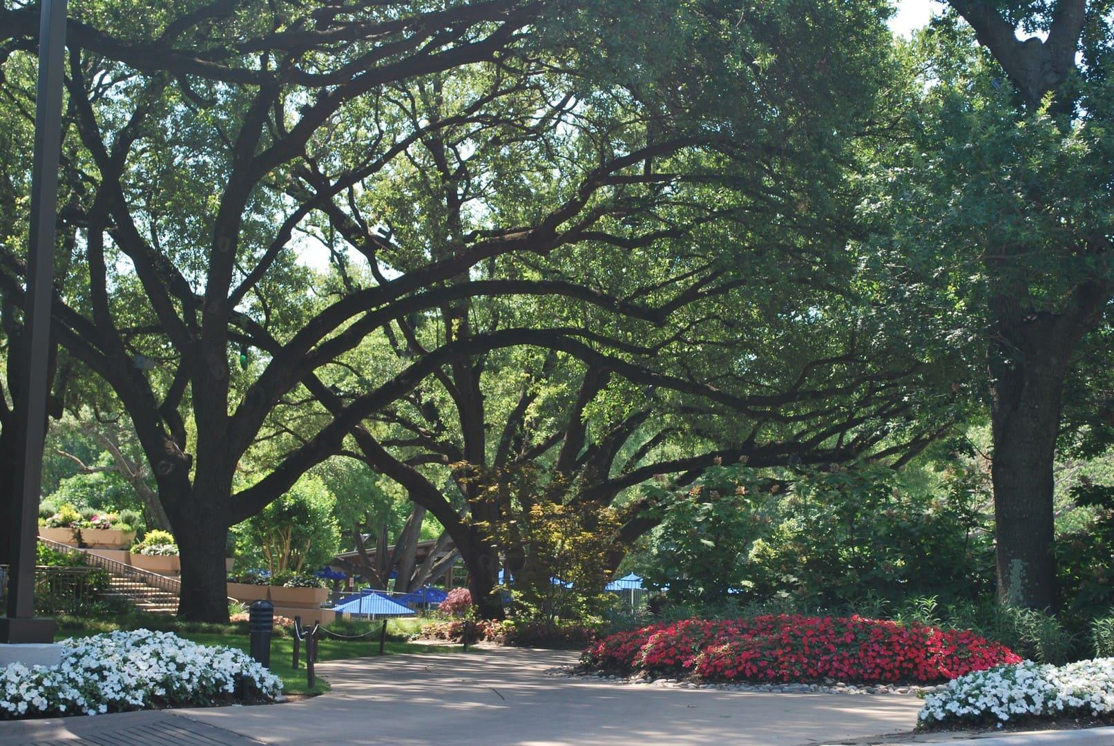 Northwood Club